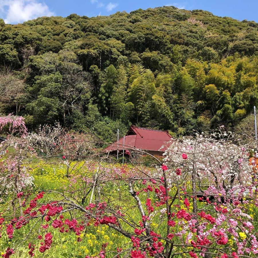 Villa Toraya Attic Shimoda  Exterior foto